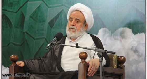Professor Ansarian: Imam Hussein desire for death